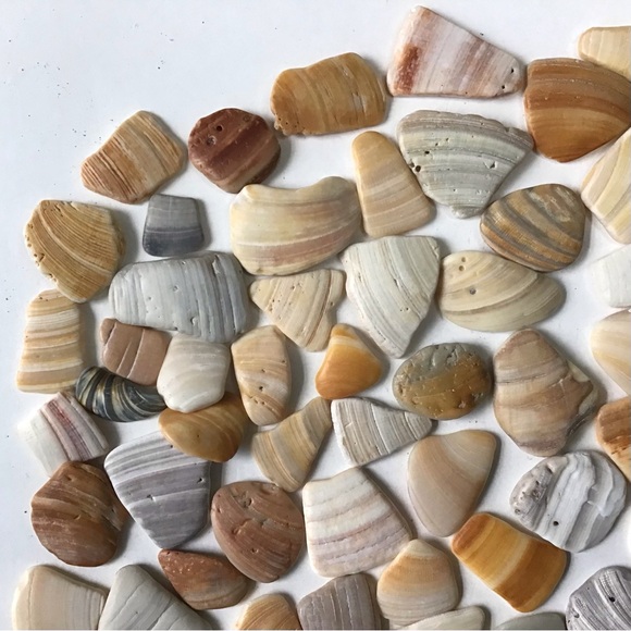 100 Seashell Fragments Smooth Natural Clam Shell Pieces Jewelry Art Crafts Decor - Picture 2 of 6